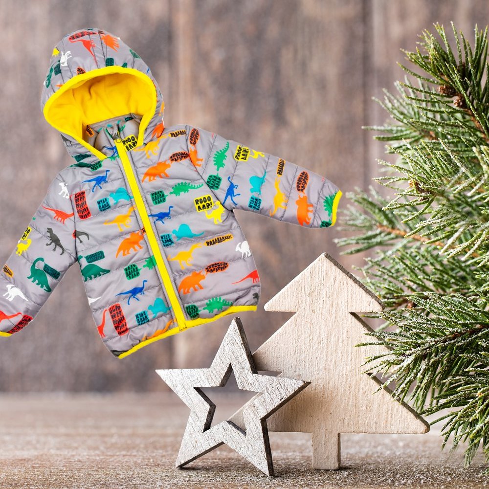 35% off NEW Boy's Dino Jacket